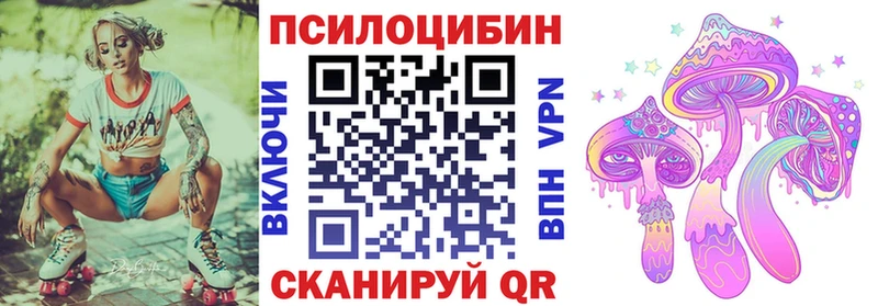 блэк спрут Невинномысск Галлюциногенные грибы GOLDEN TEACHER